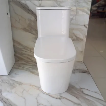 Sanitario Tholer 2132