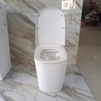 Sanitario Tholer 2132