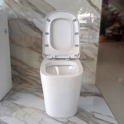 Sanitario Tholer 2132