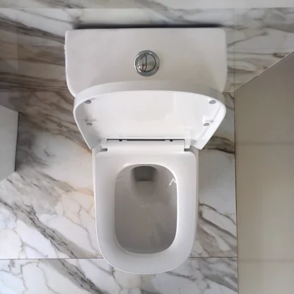 Sanitario Tholer 2132