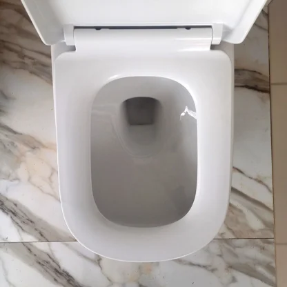 Sanitario Tholer 2132