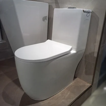 Sanitario Tholer 2668