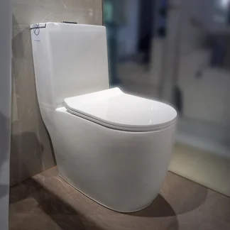 Sanitario Tholer 2668