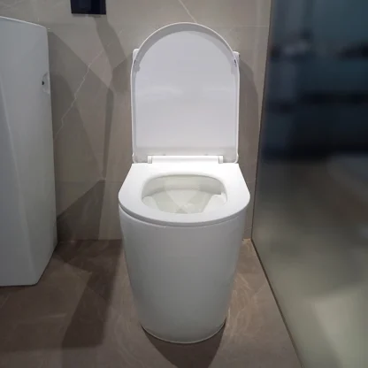 Sanitario Tholer 2668