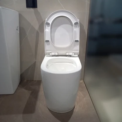 Sanitario Tholer 2668