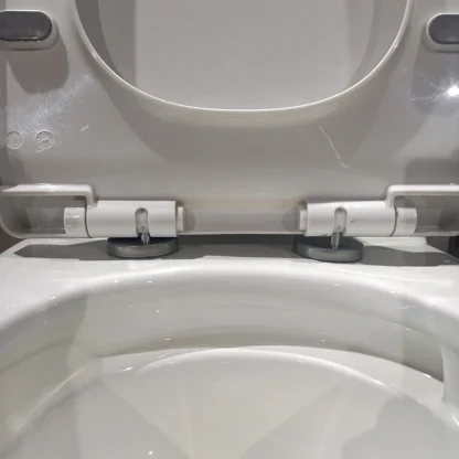 Sanitario Tholer 2668