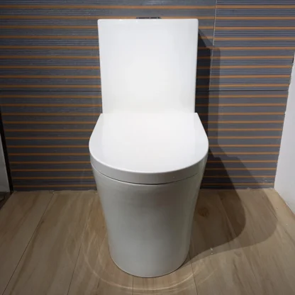 Sanitario Tholer 2722