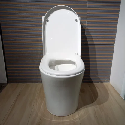 Sanitario Tholer 2722