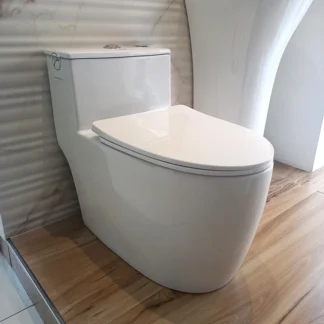 Sanitario Tholer 2919