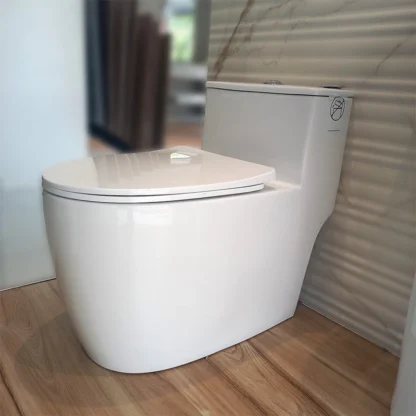 Sanitario Tholer 2919