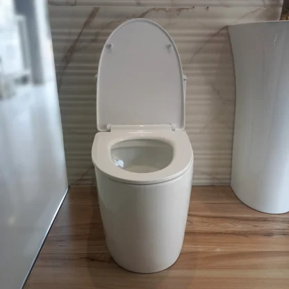 Sanitario Tholer 2919