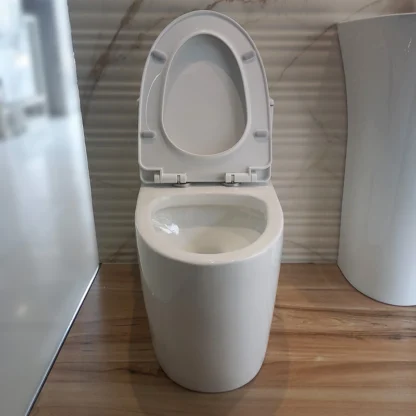 Sanitario Tholer 2919